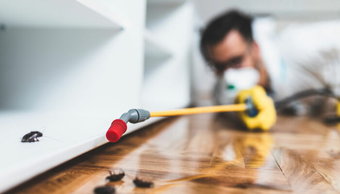 4 tips to find the best pest control services